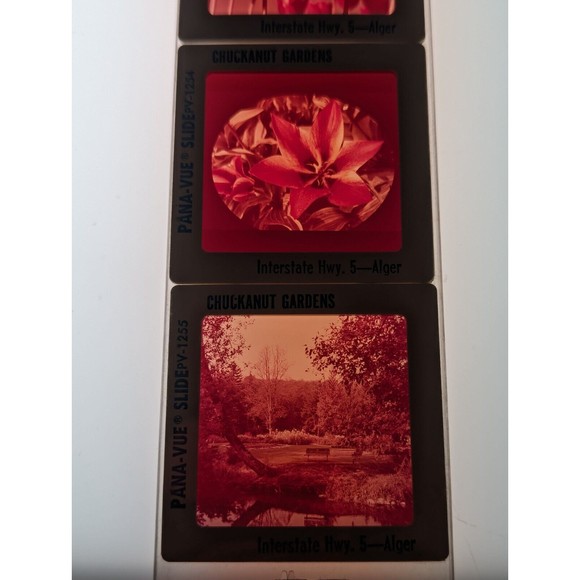 Vintage GAF Pana-Vue Slides Chuckanut Gardens Alger Washington Lot of 5 PV125 - Picture 10 of 10